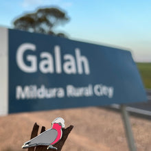 Load image into Gallery viewer, Galah pin