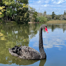 Load image into Gallery viewer, Black Swan pin