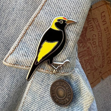 Load image into Gallery viewer, Regent Bowerbird pin