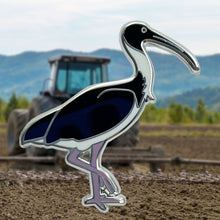 Load image into Gallery viewer, Straw-necked Ibis pin