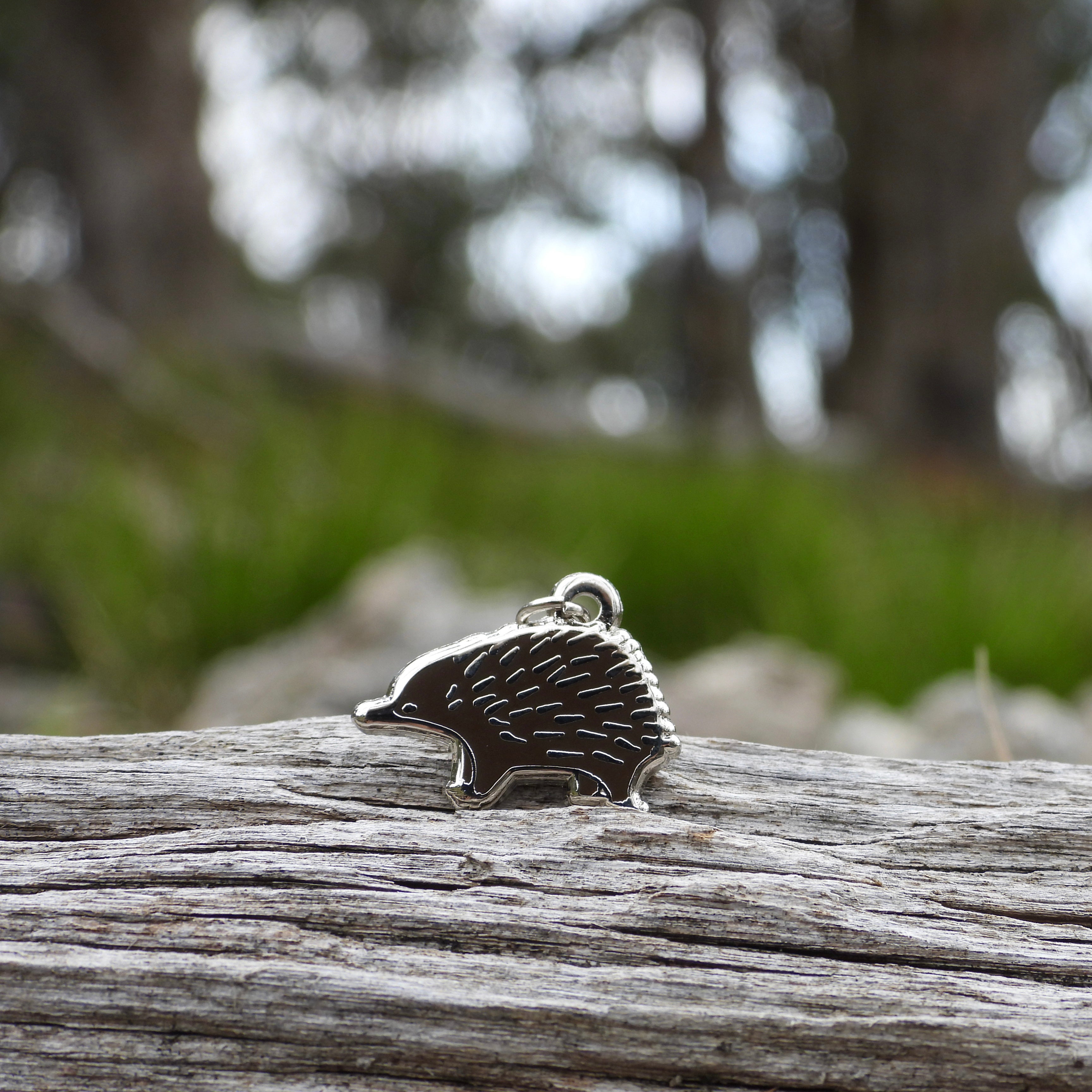 Echidna Charm – Bush Bling