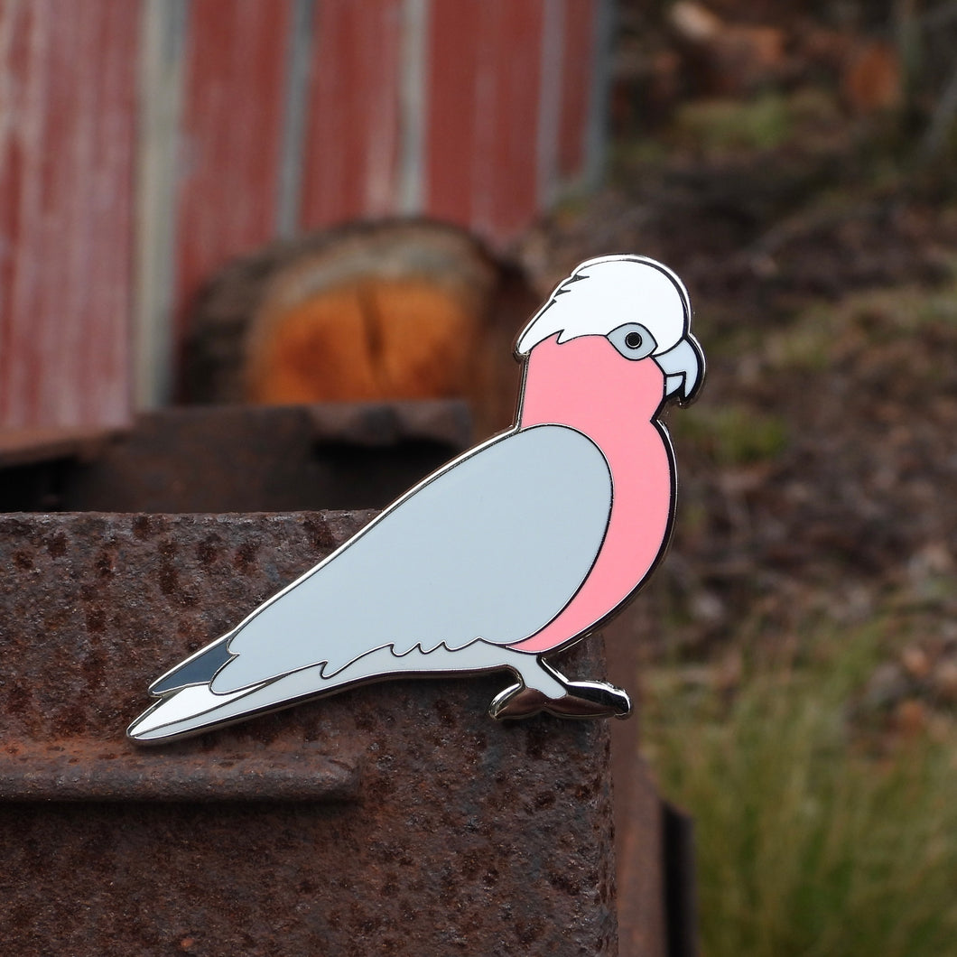 Galah fridge magnet