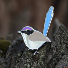 Load image into Gallery viewer, Purple-crowned Fairywren
