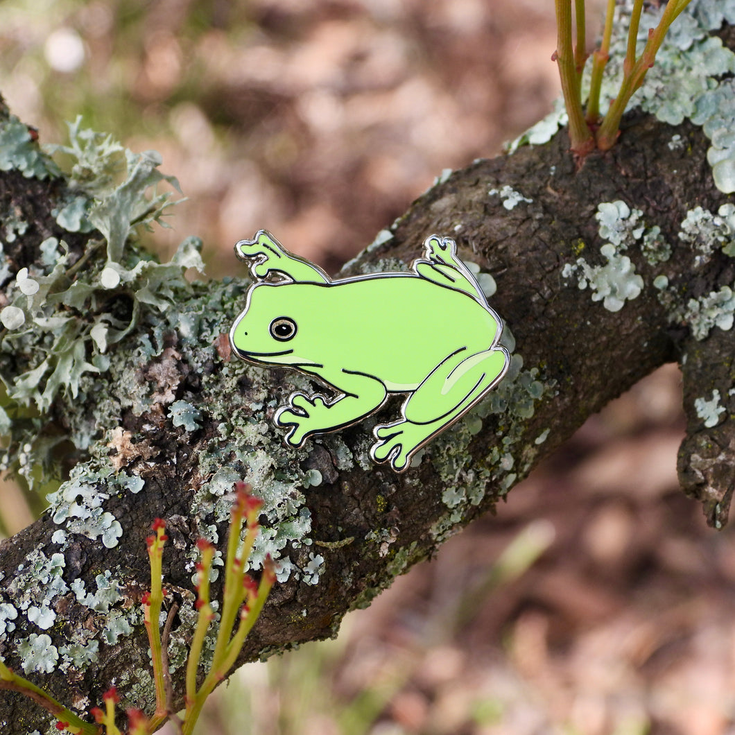 Green Tree Frog pin