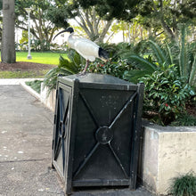 Load image into Gallery viewer, Australian White Ibis pin
