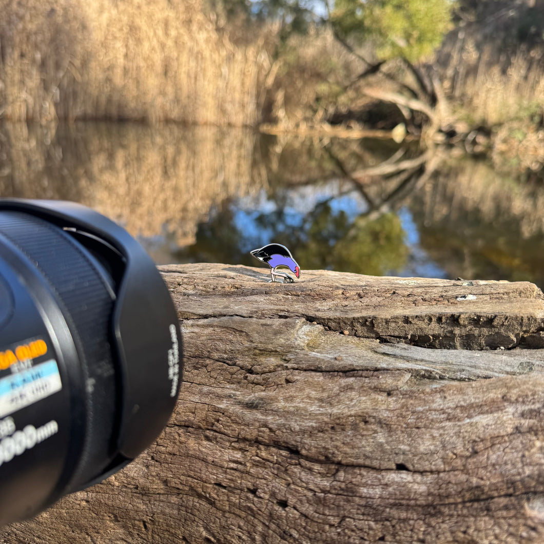 Purple Swamphen pin