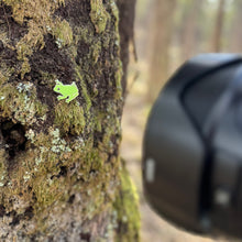 Load image into Gallery viewer, Green Tree Frog pin
