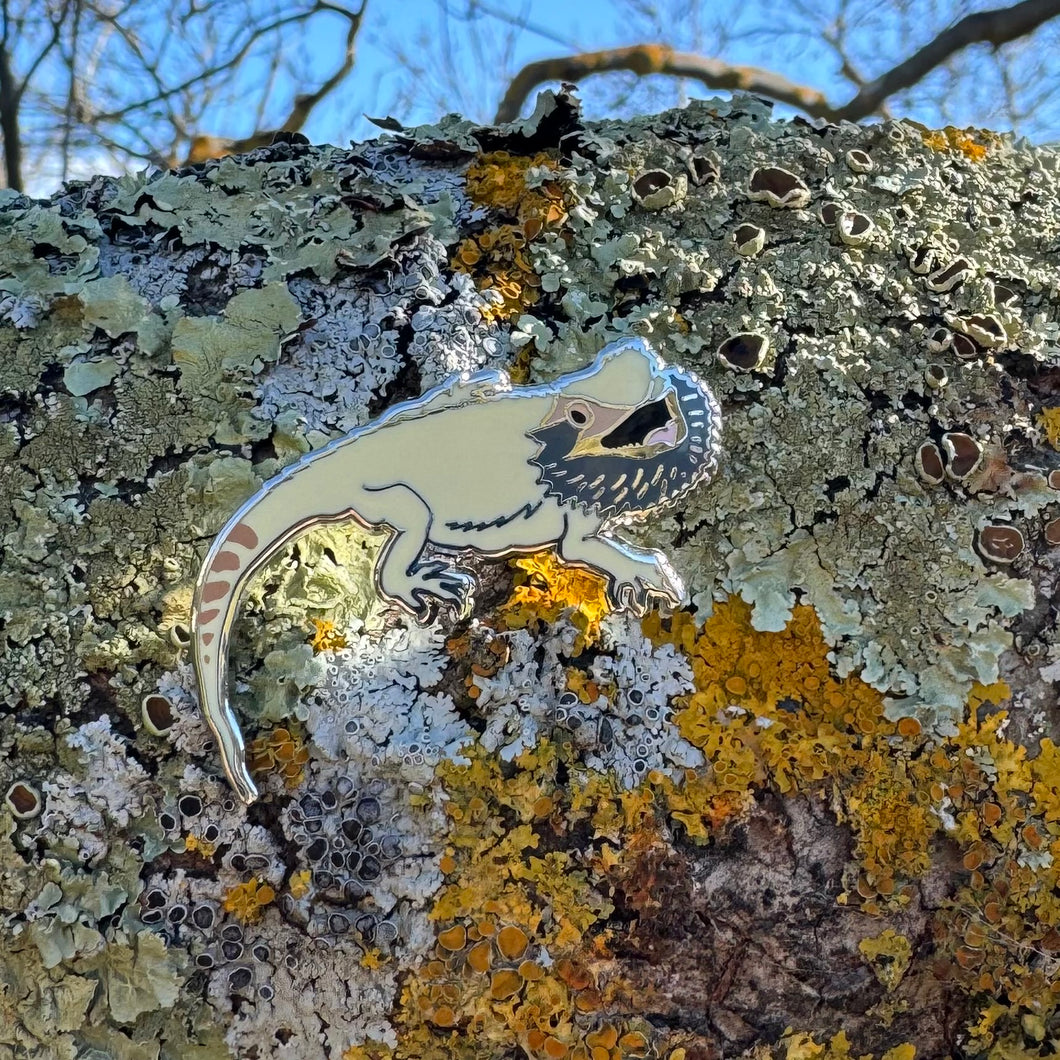 Bearded Dragon pin