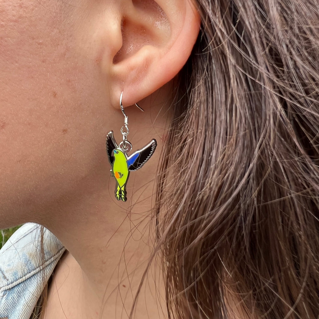 Orange-bellied Parrot earrings