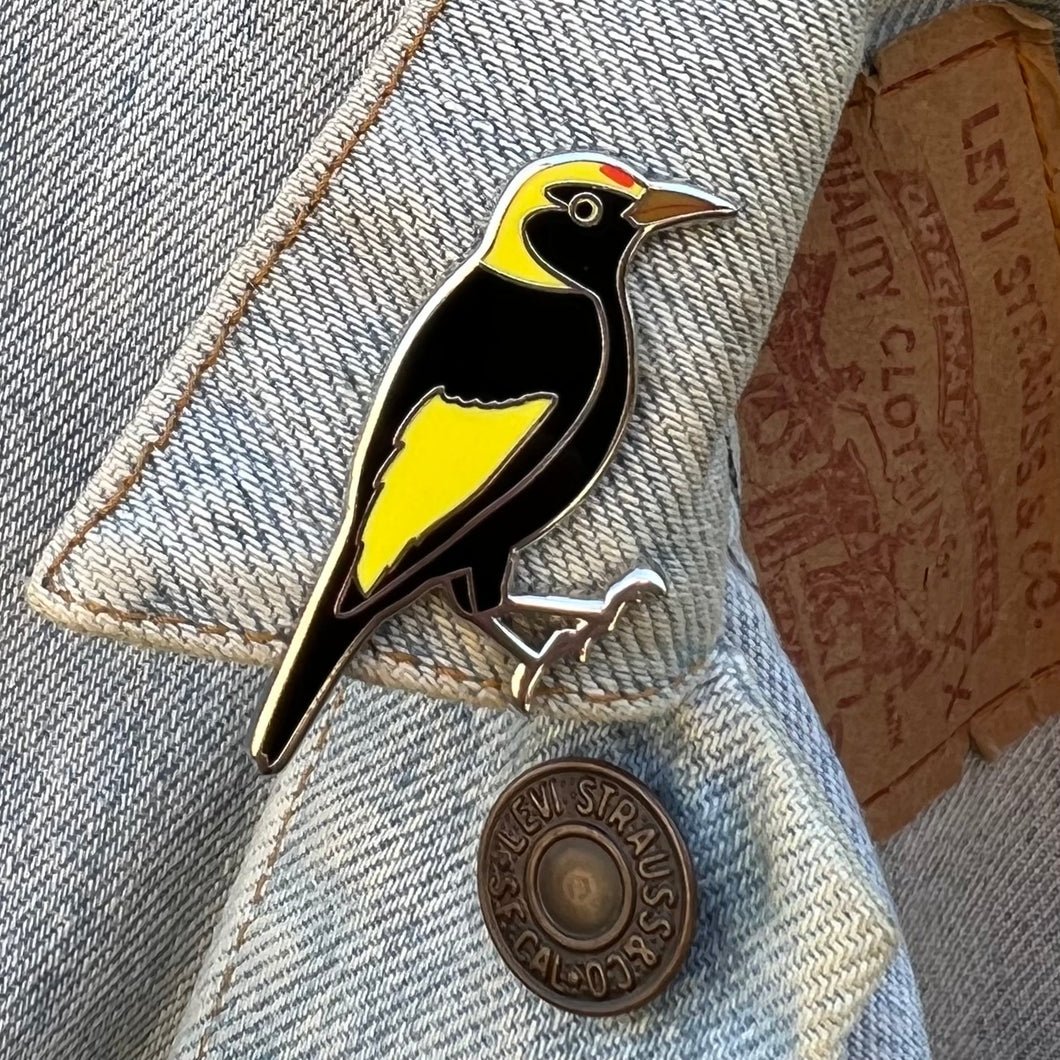 Regent Bowerbird pin