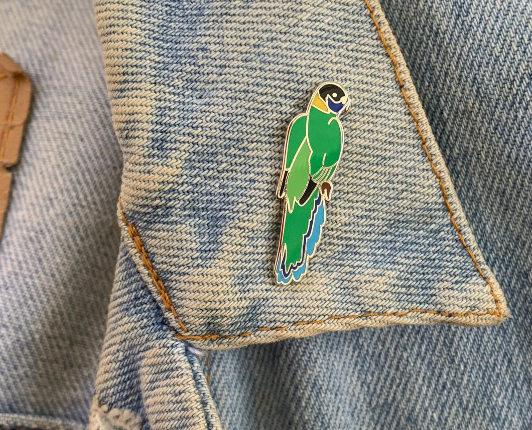 Ringneck Parrot pin